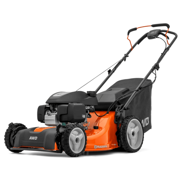 image66a3b7071eac9-0450102